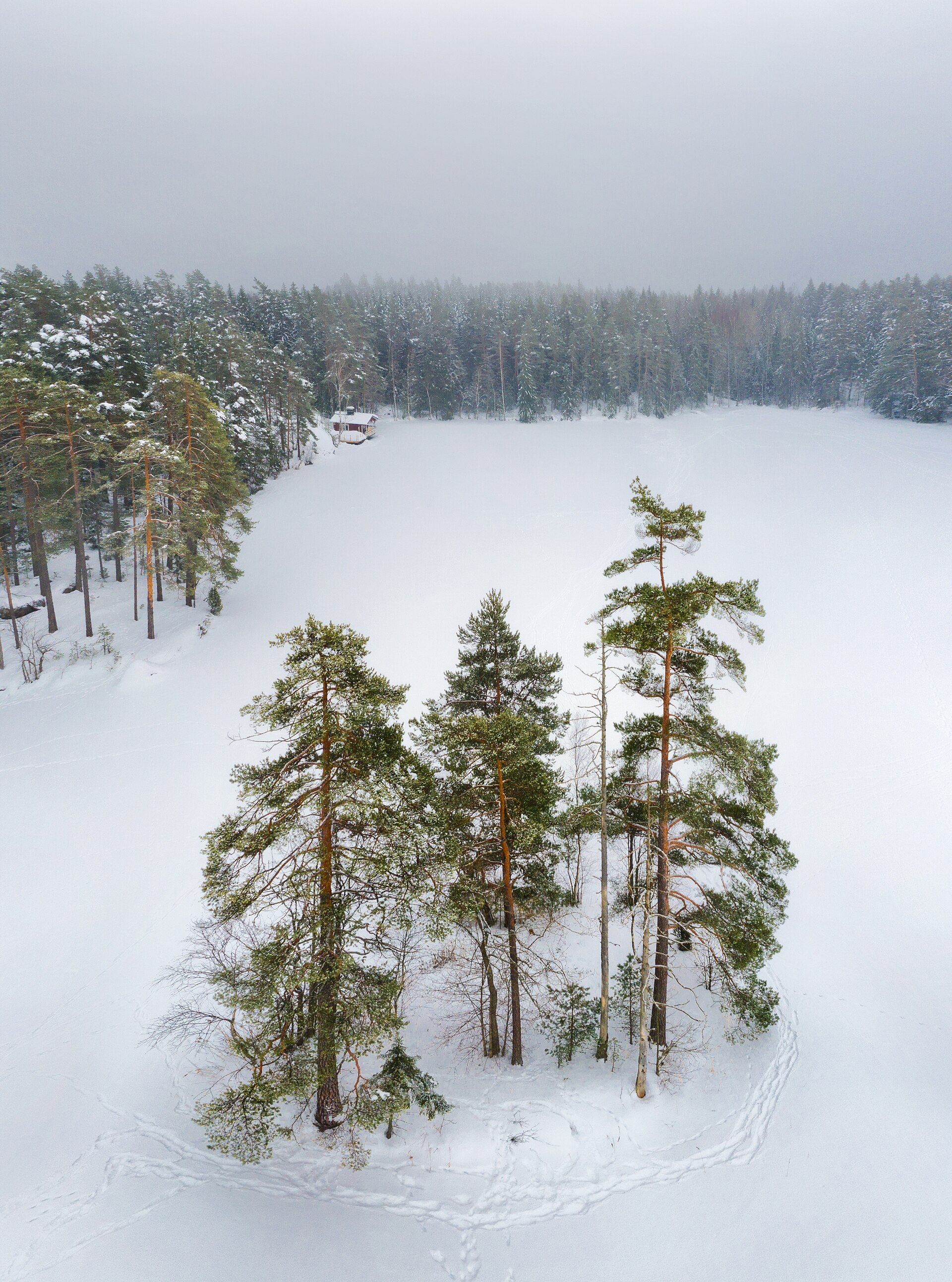 Warum sollte Finnland und Schweden der NATO beitreten? — thematisches Arktis-Foto